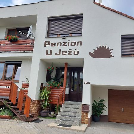 Penzion U Ježů - Ubytování Pasohlávky Exterior foto