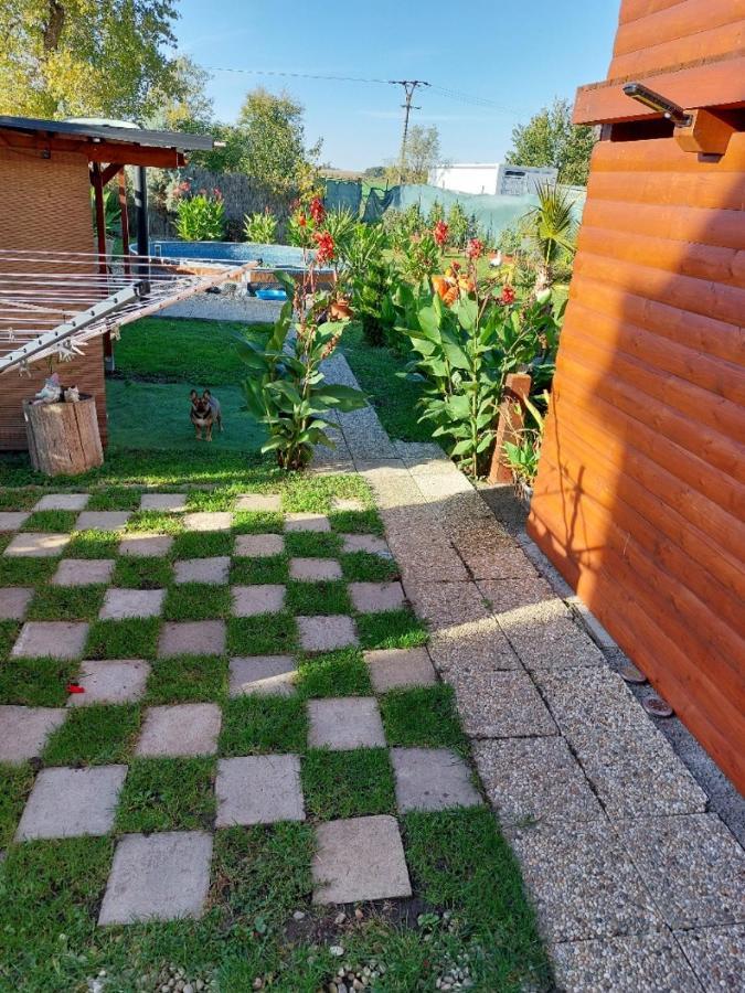 Penzion U Ježů - Ubytování Pasohlávky Exterior foto